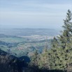 IMG_3776.jpeg