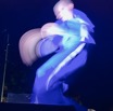 IMG_2118.jpeg